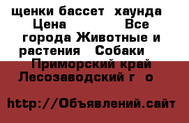 щенки бассет- хаунда › Цена ­ 20 000 - Все города Животные и растения » Собаки   . Приморский край,Лесозаводский г. о. 